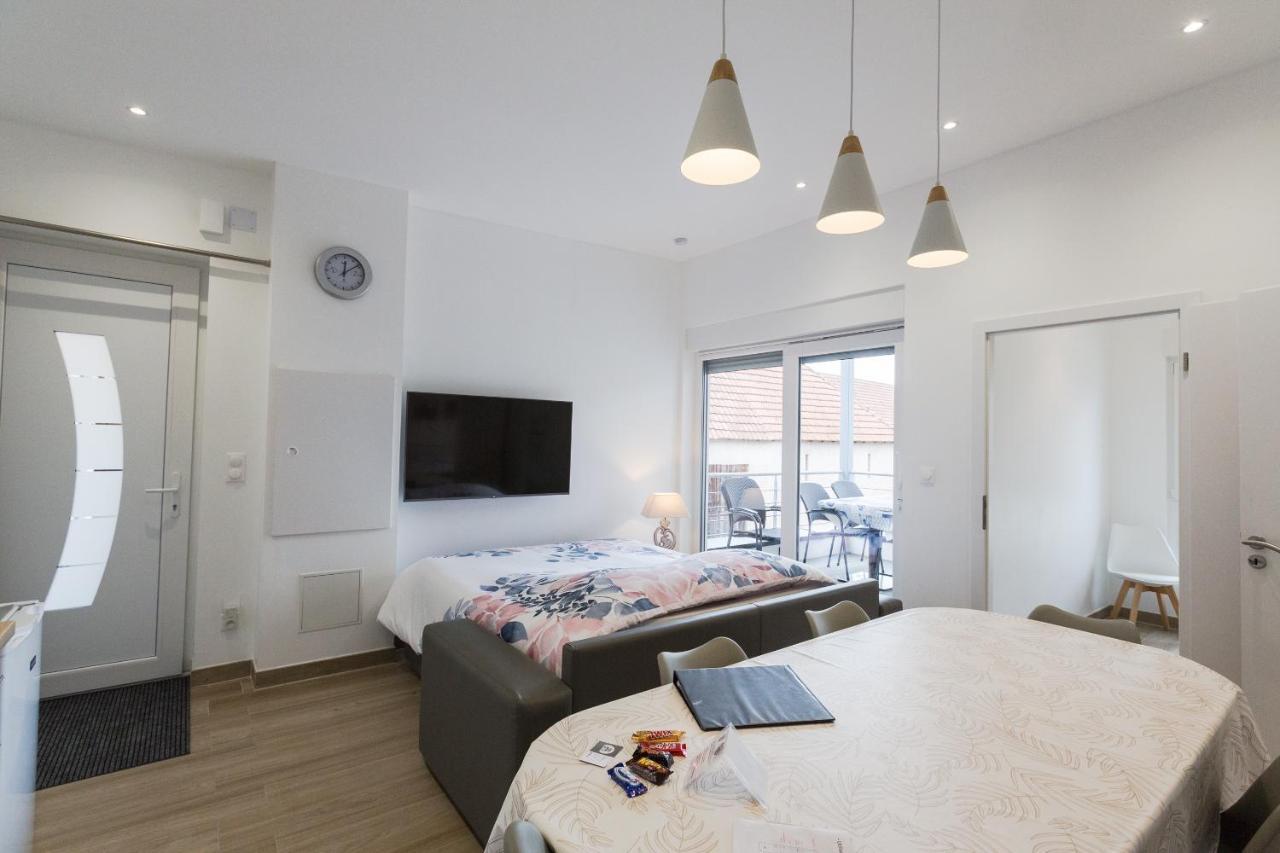 Sollaris Appartements 3P 1Ere Etage A 11Km D'Europa-Park Friesenheim Exteriér fotografie